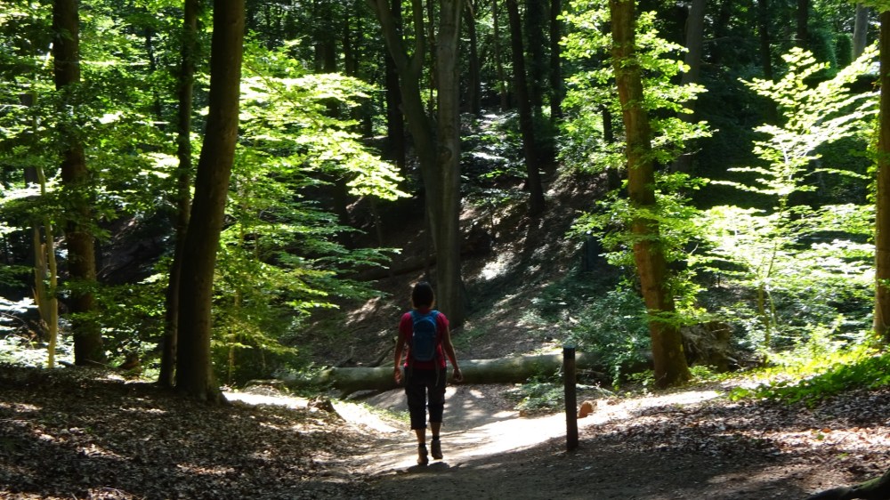 N70 Natuurwandelroute.jpg