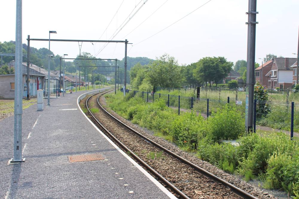 glons-bron-alex-buis