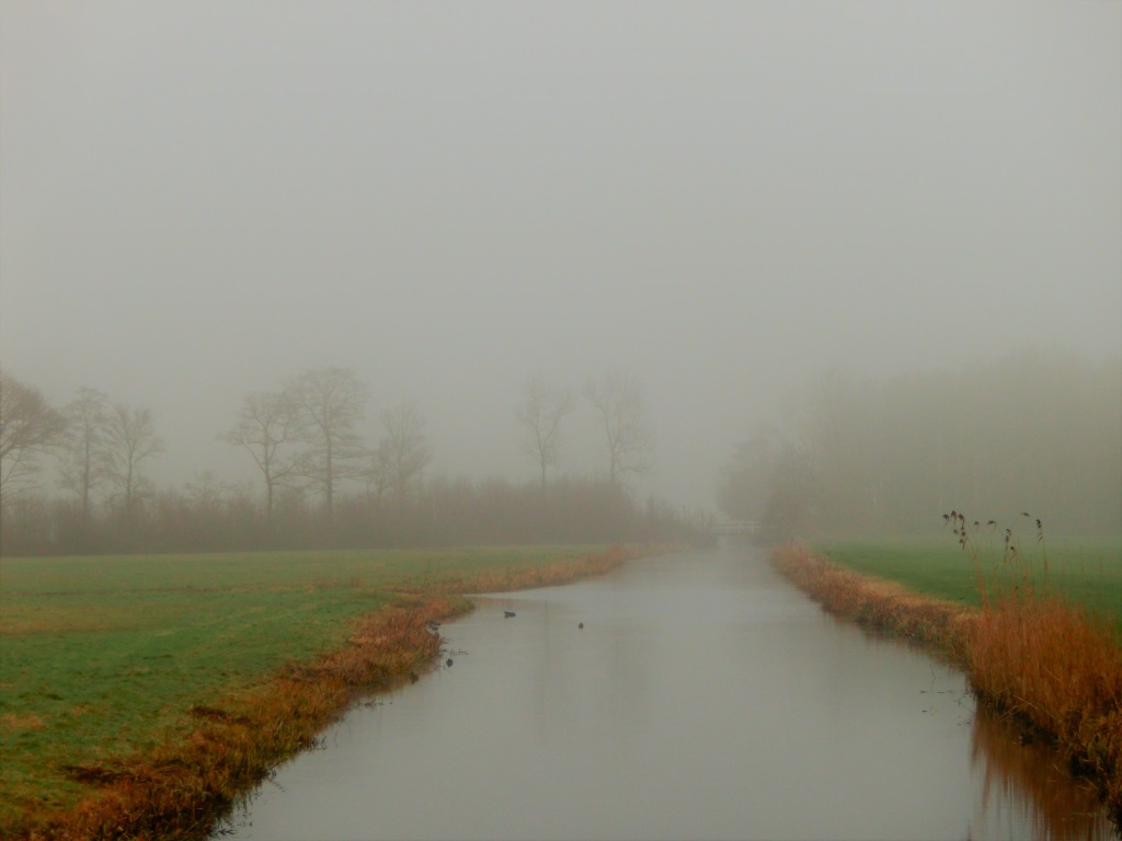 polder-in-de-mist