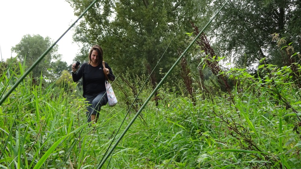 Brandnetels ontwijken