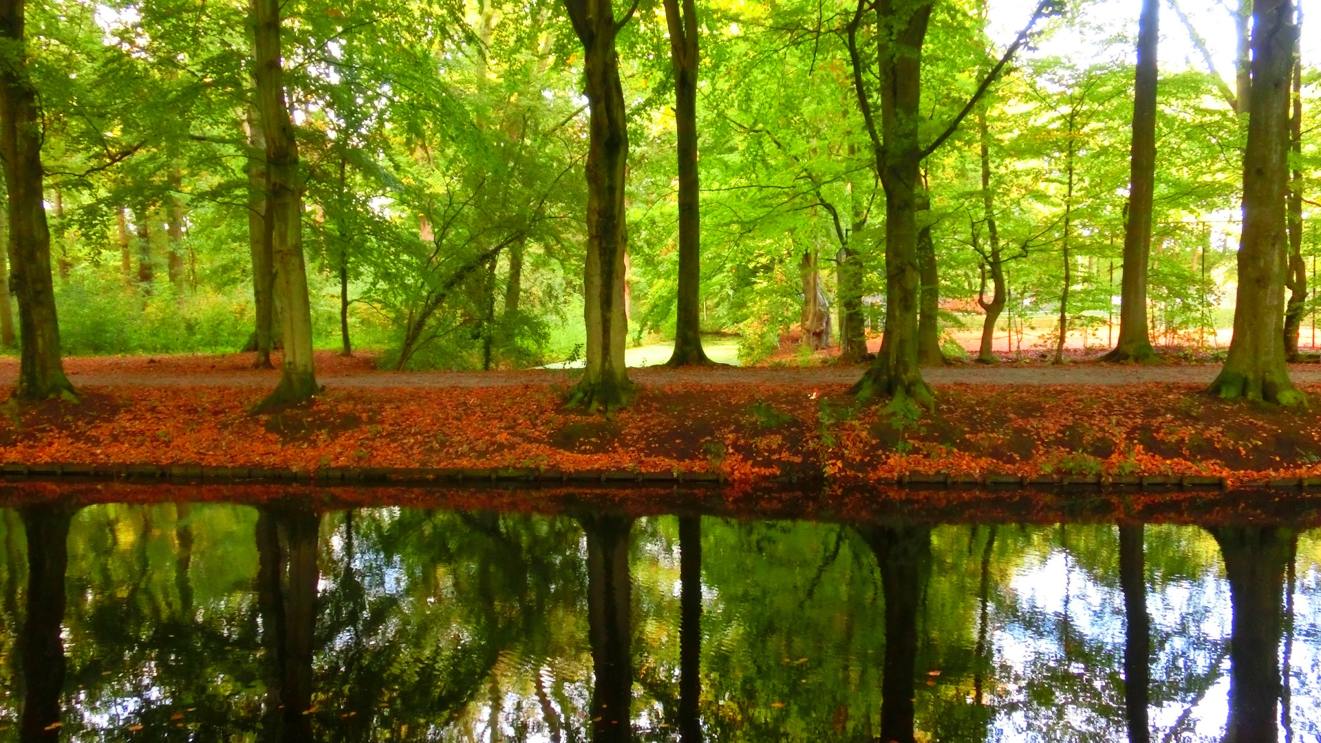 Sprookjesachtige laan