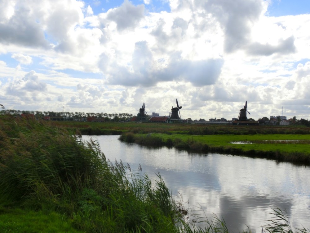 Molen panorama