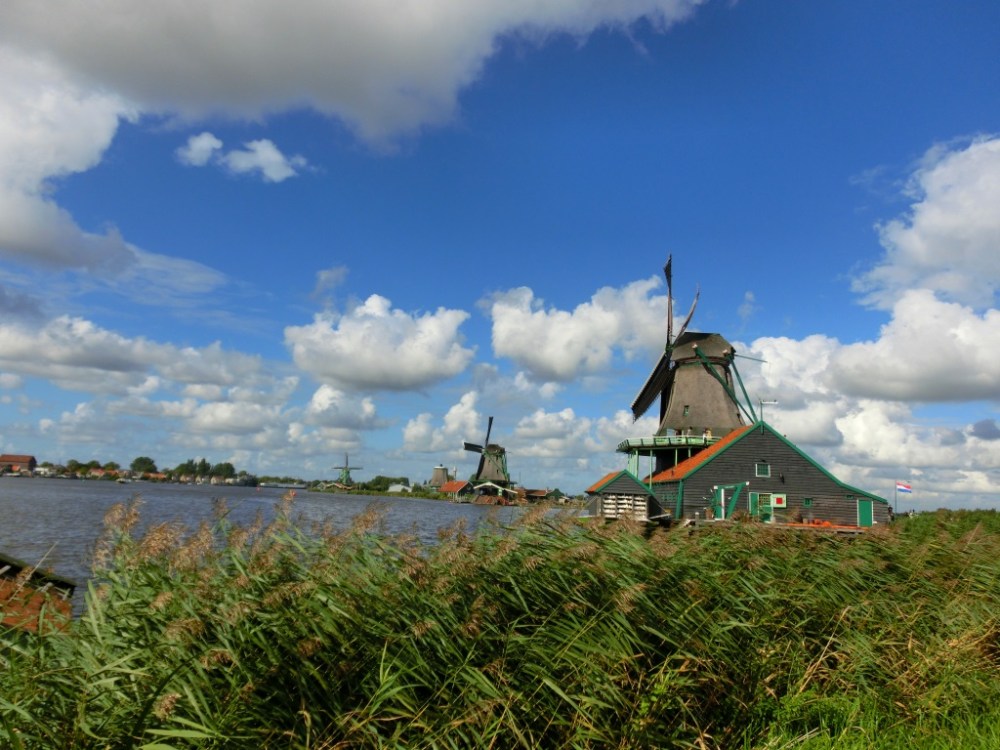 Zaanse molens