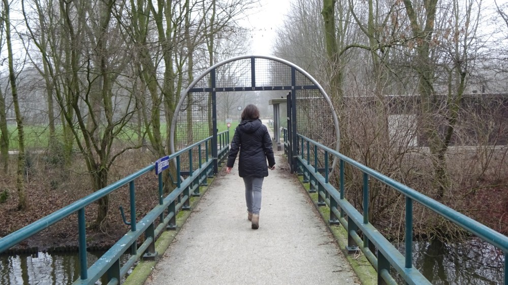 Erasmuspark.jpg
