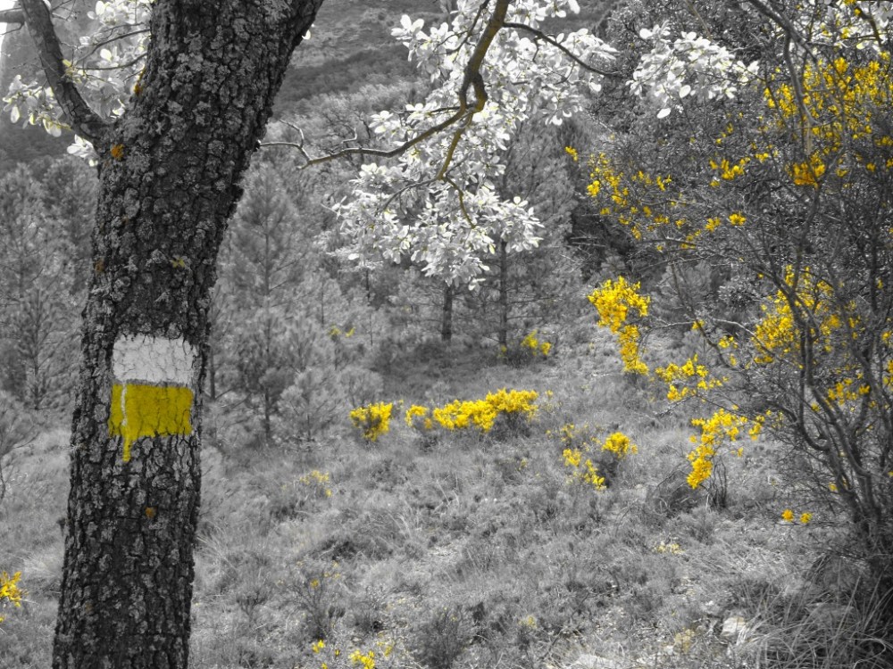 Geel witte markering