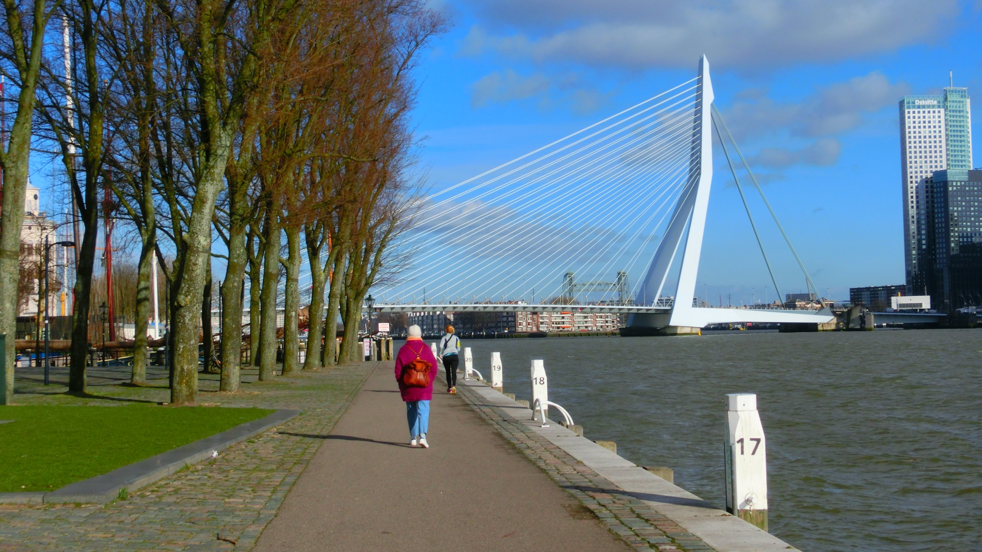 Wandelen langs de Maas