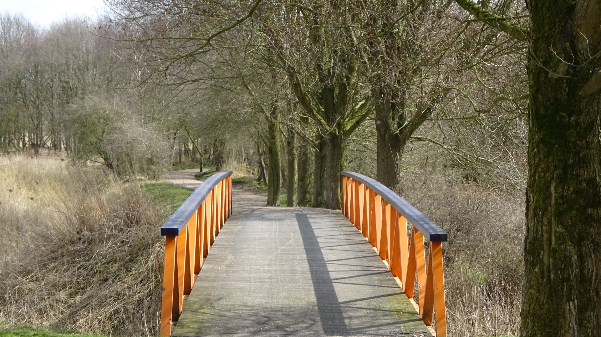 Oranje blauwe brug
