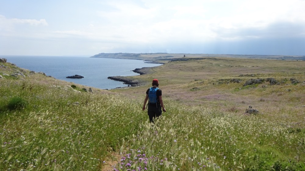 Smal pad richting de zee