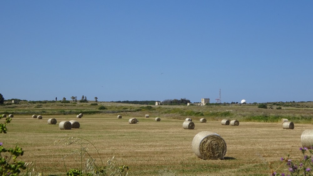 Velden met strorollen