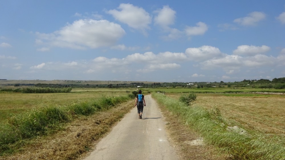 Wandelen tussen agrarische velden