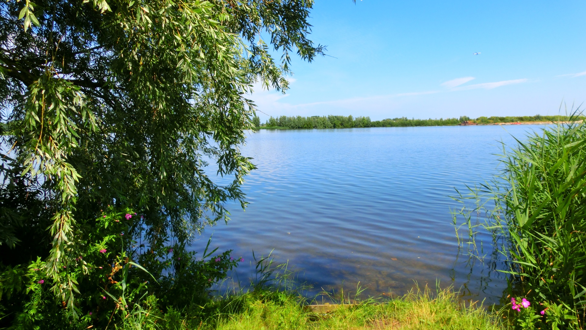 Doorkijk Valkenburgse meer