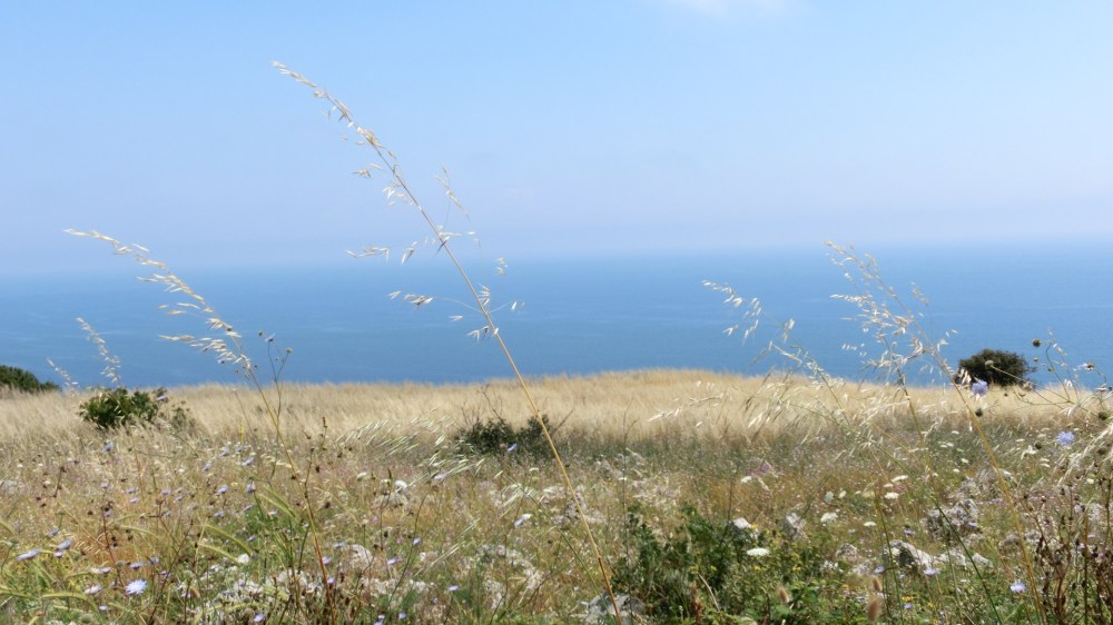 Uitzicht Adriatische zee