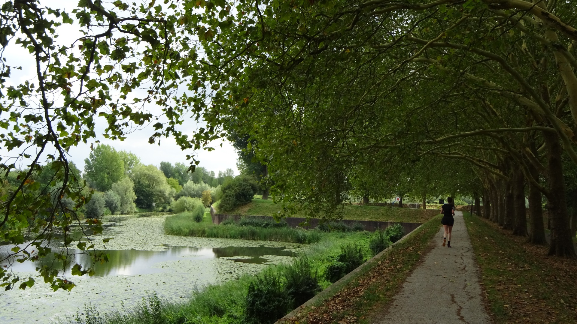 Vestingwal Gorinchem