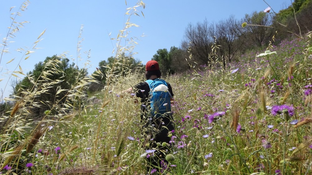 Wandelen tussen het struikgewas