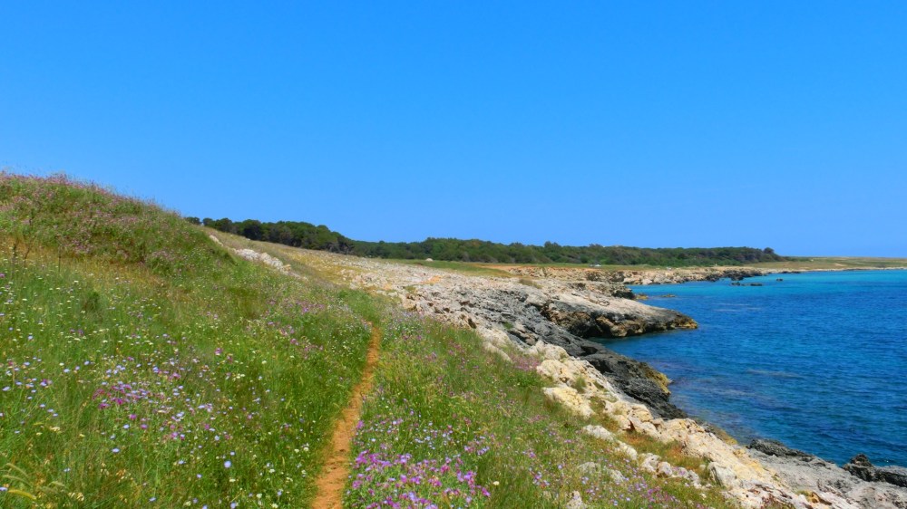 Kustwandeling langs de Adriatico