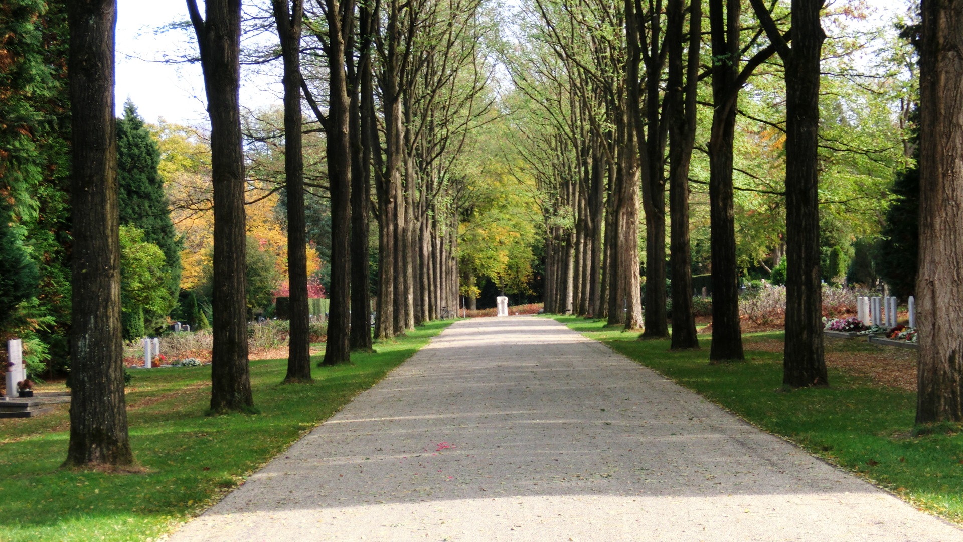 Begraafplaats Moscowa