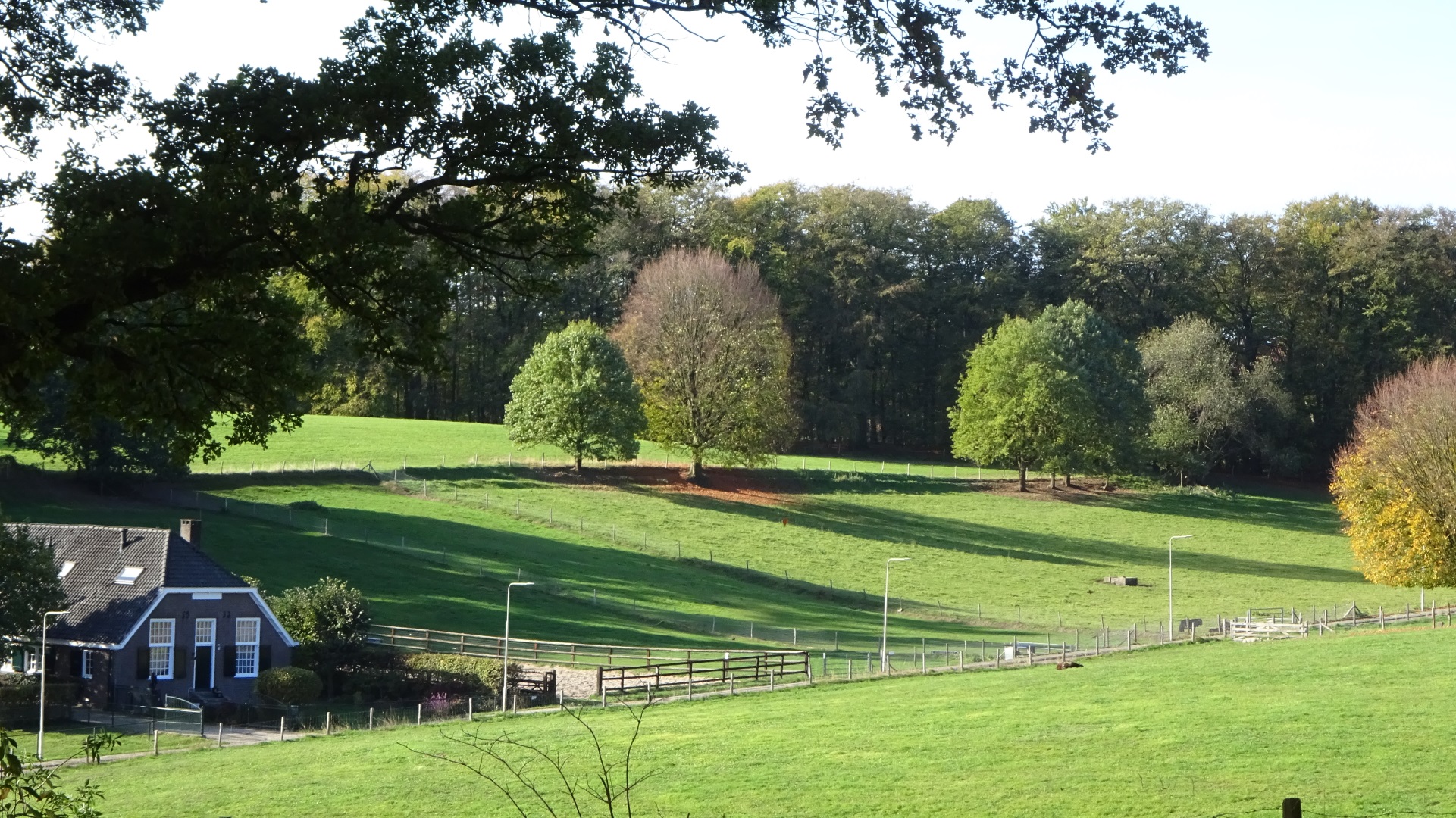 Glooiend landschap Klarenbeek