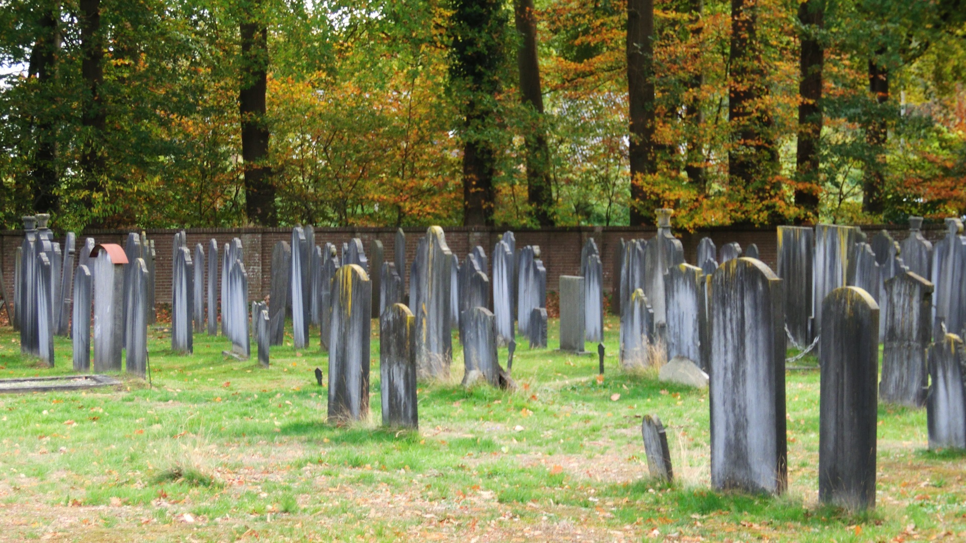 Joodse begraafplaats Moscowa