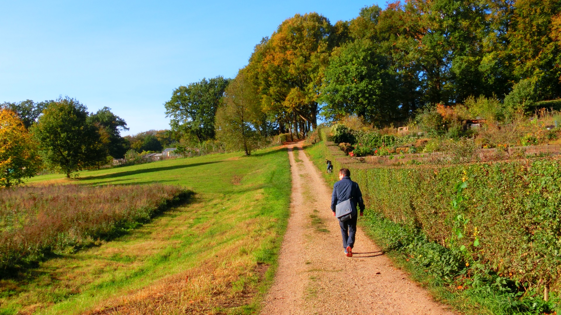 Wandelen langs tuinen