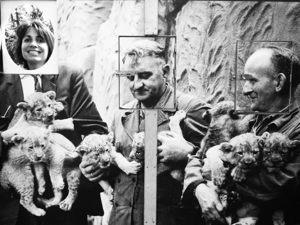 dierenpark burgers´ zoo