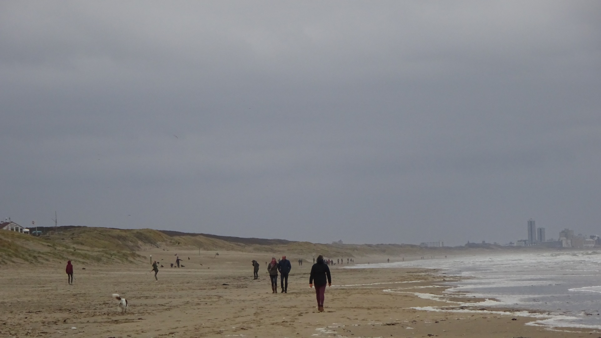 strand wassenaarse slag