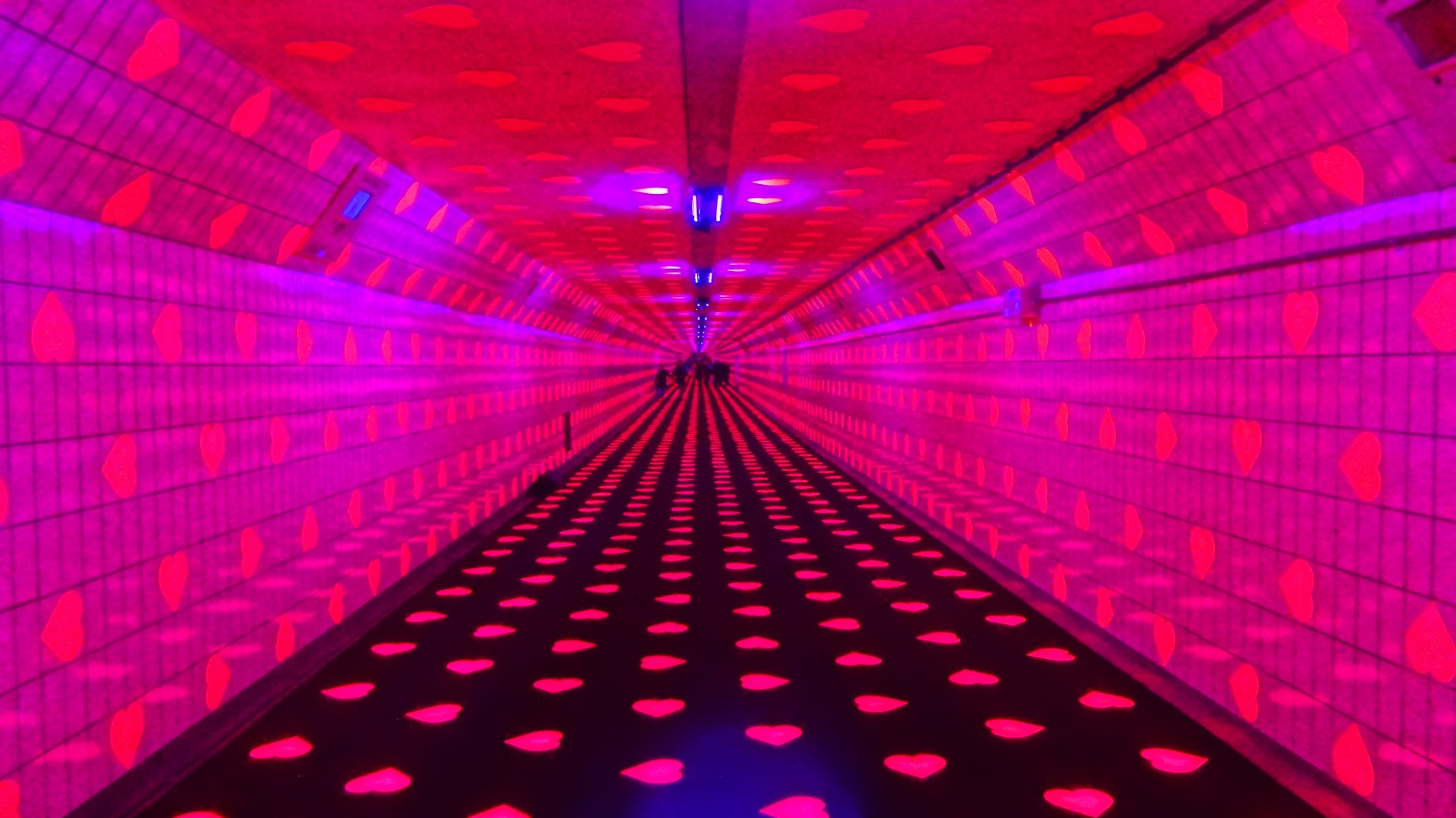 Maastunnel wandelen van de Tunnel of Love