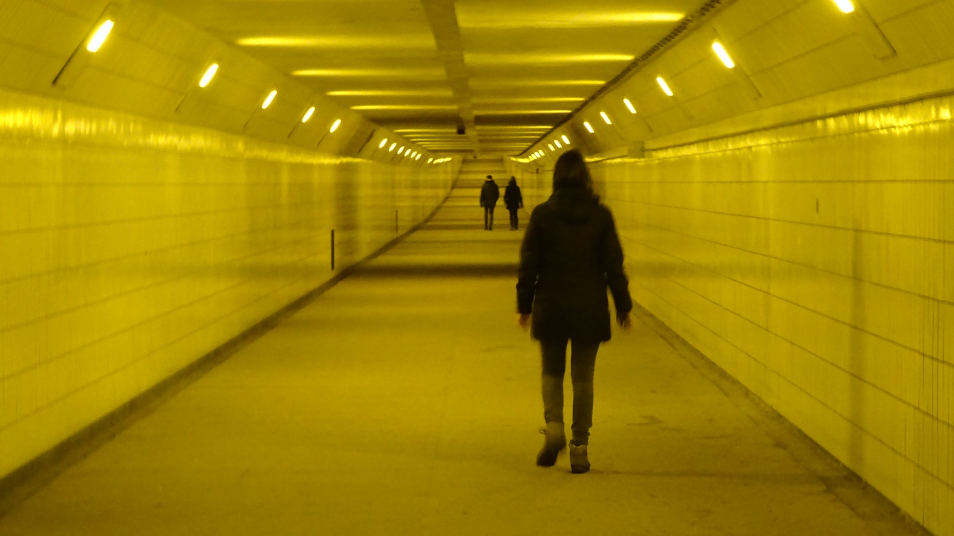 Wandelen door de Maastunnel