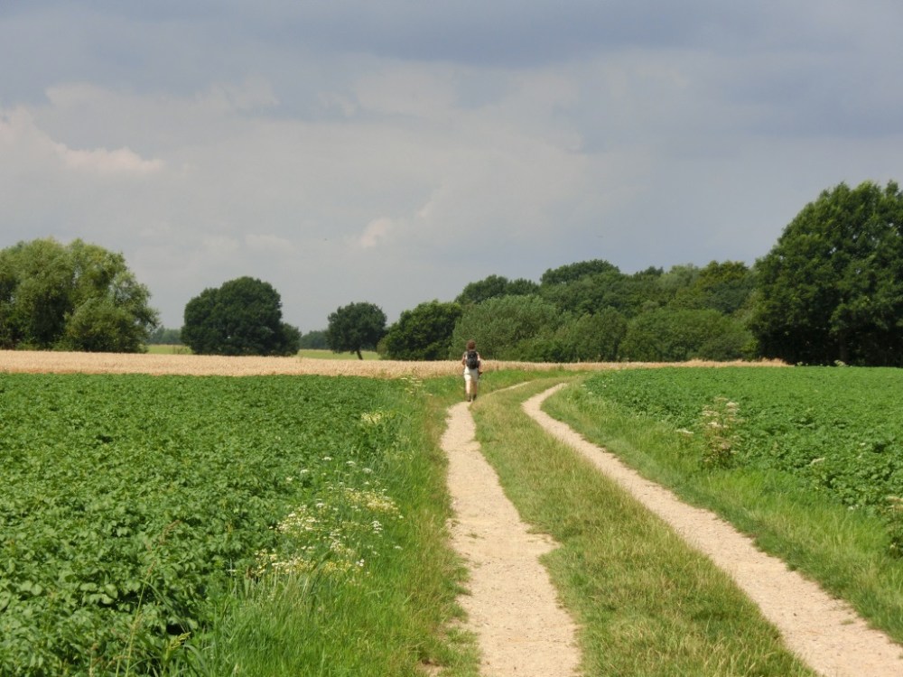 De eenzame wandelaar
