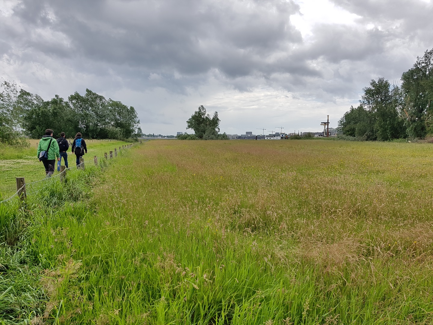 Graspad naar het water
