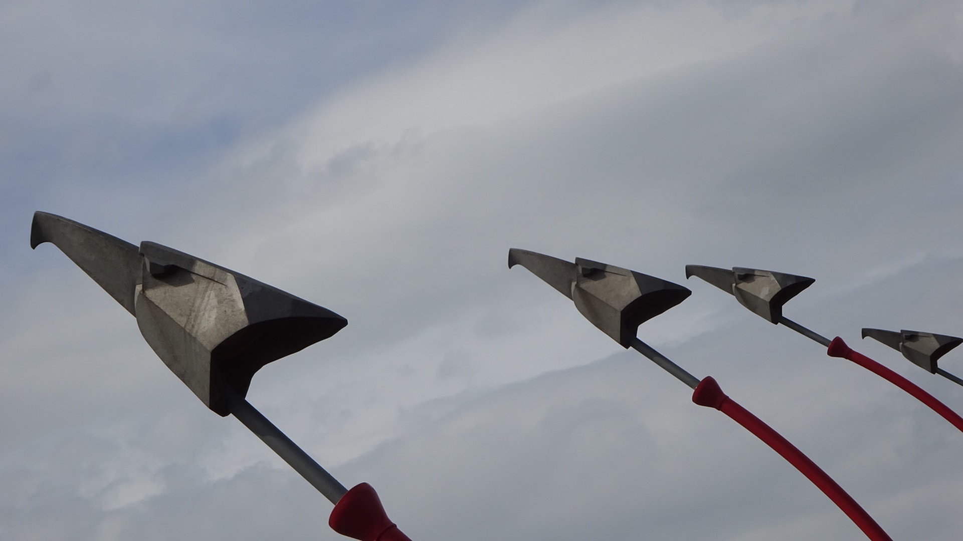 Vogels op de Phythonbrug