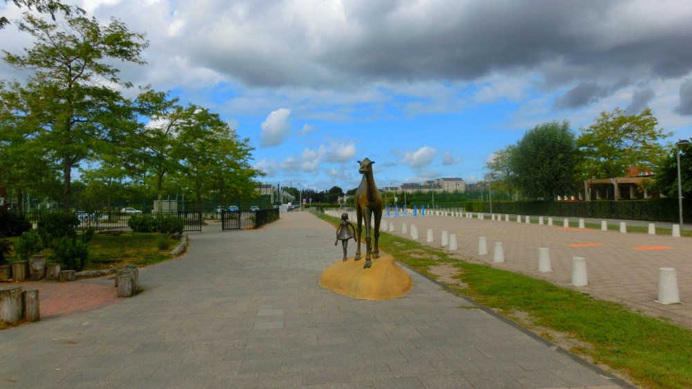 Meisje en de dromedaris