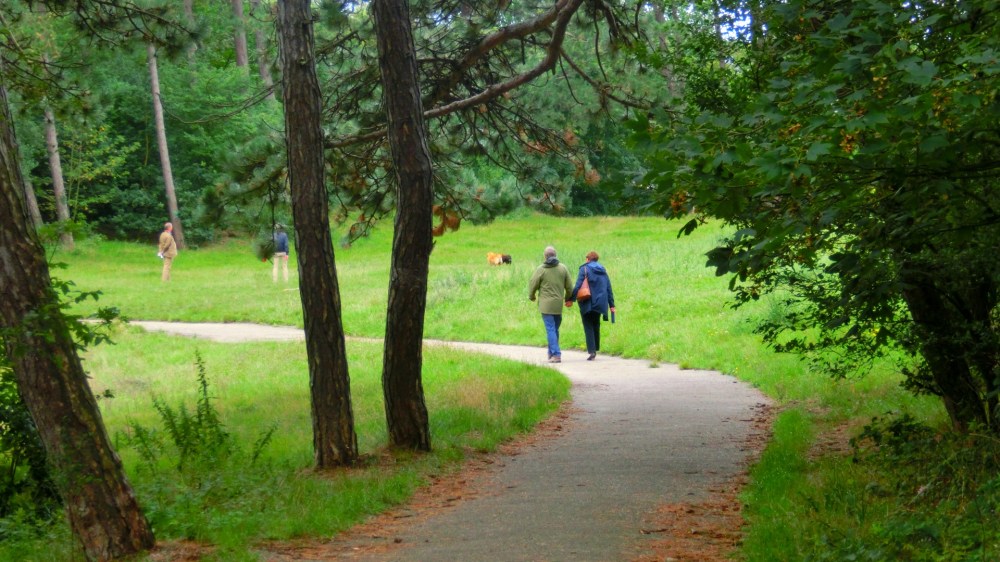 Nieuwe Scheveningse bosjes