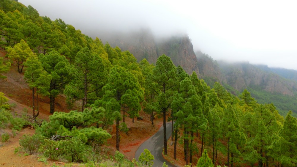 Laaghangende bewolking