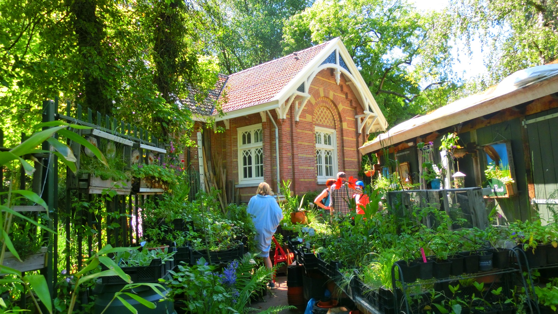 Sarphatipark, een groene oase in de Amsterdamse Pijp