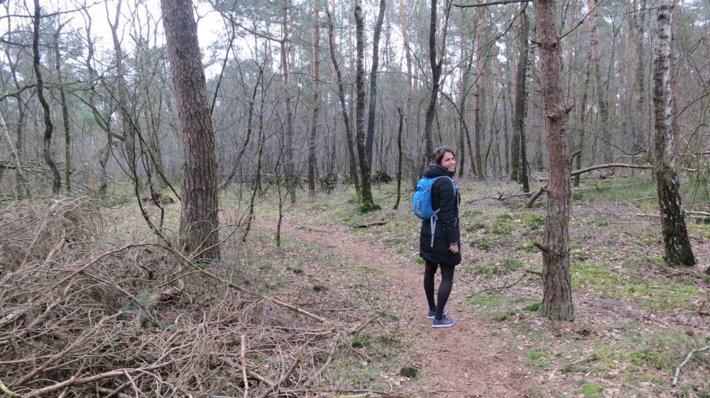 Wandelen over bospaden