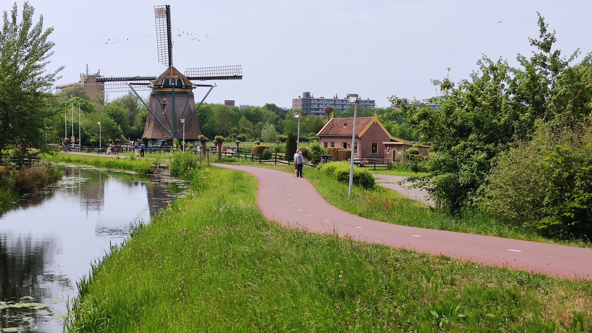 hollands-landschap