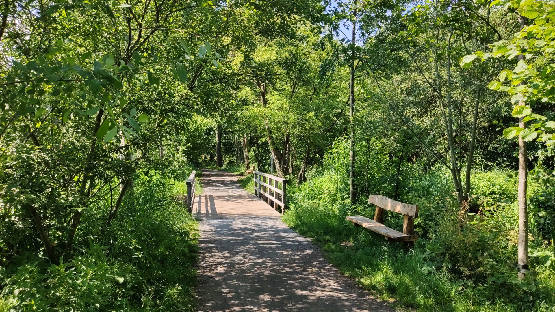 Paden tussen het groen