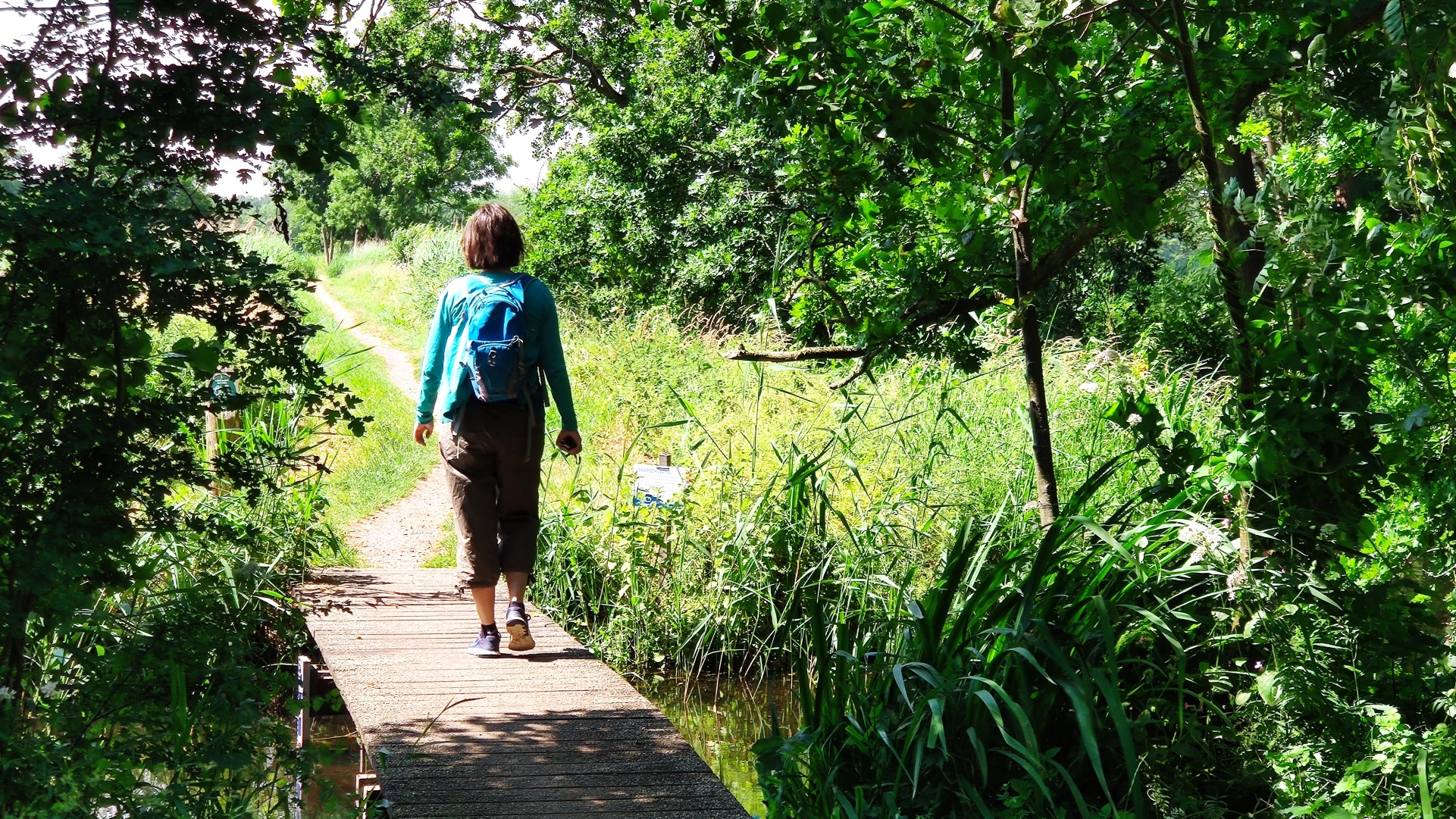 Rand van Landgoed Rosenburg