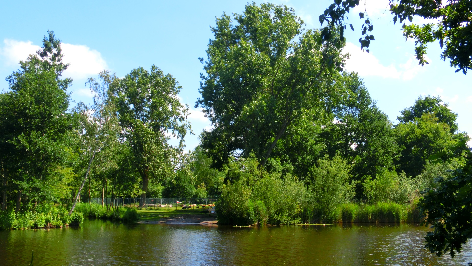 Uitzicht op de kinderboerderij