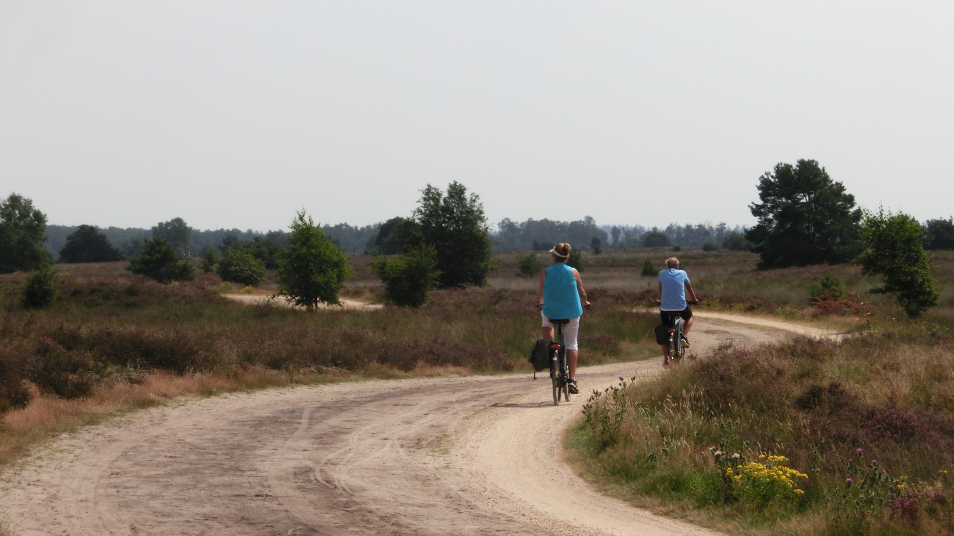 Fietsers Strabrechtse Heide