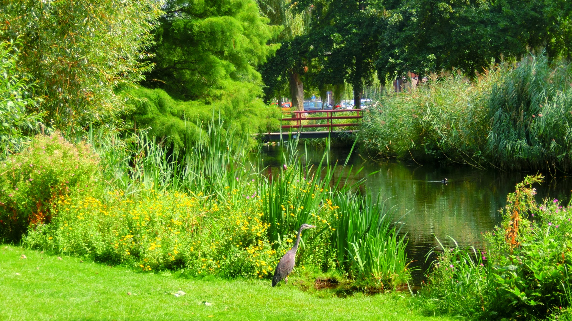 Reiger Park Kweeklust