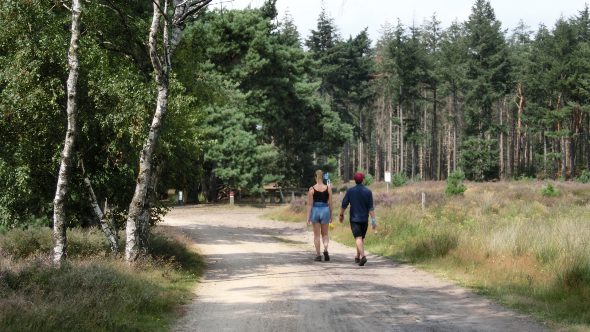 Wandelaars Strabrechtse Heide